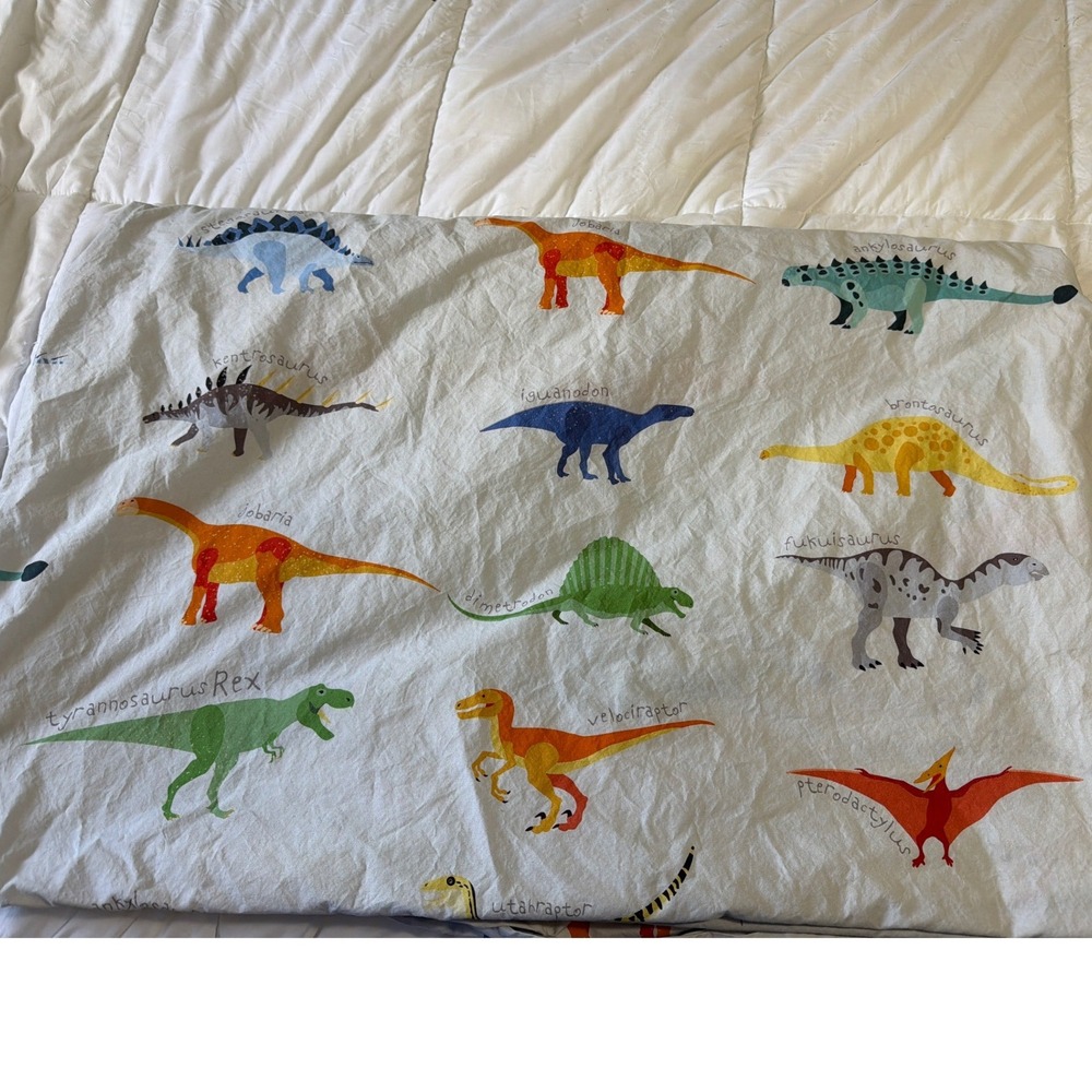 Pottery Barn Kids Finn Dino Twin Duvet Cover 100% Organic Cotton Multi Color